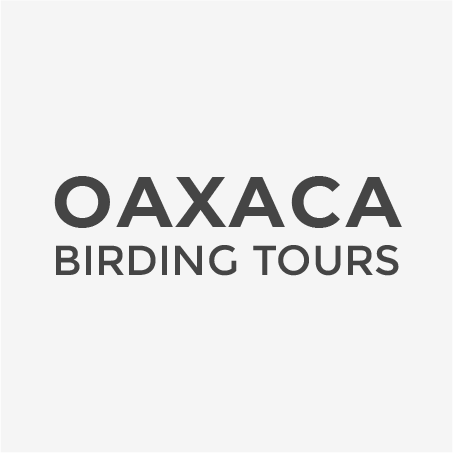 Oaxaca Birding Tour - oaxacabirdingtour.com